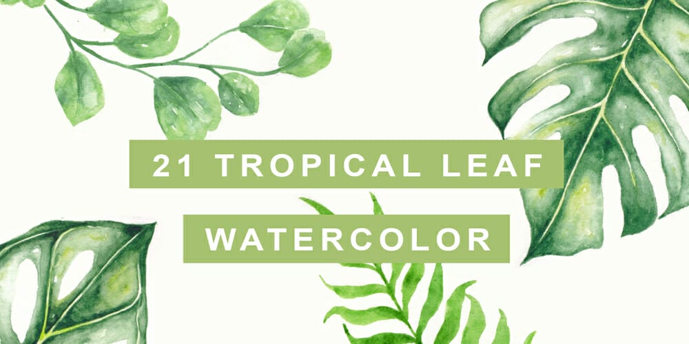 Tropical Leaf Watercolor Paint