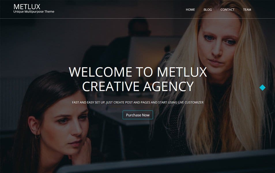 Metlux Responsive WordPress Theme