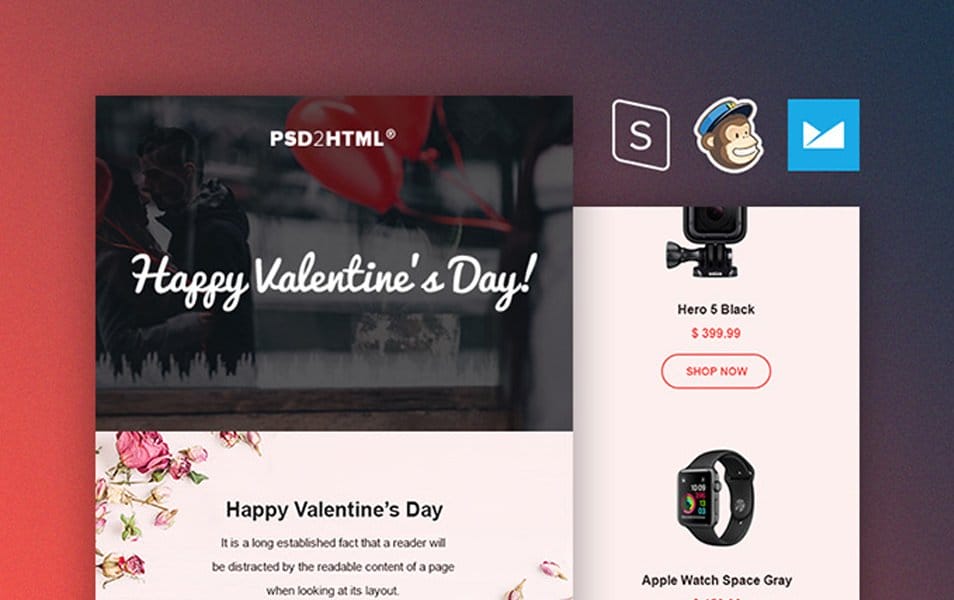 Valentine's Day Email Template