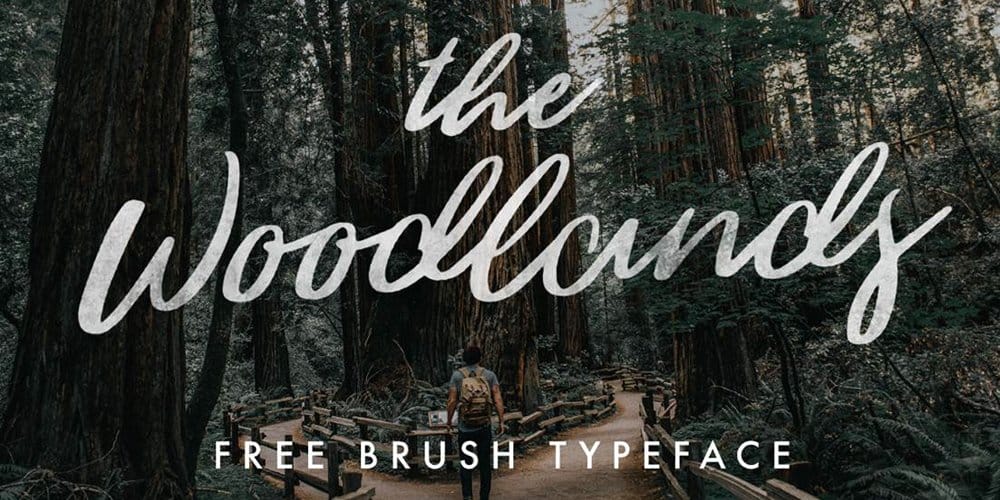 The Woodlands Free Brush Script