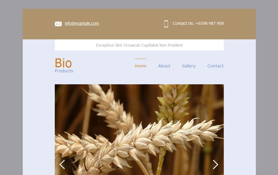 Bio Products a Email Responsive Web Template