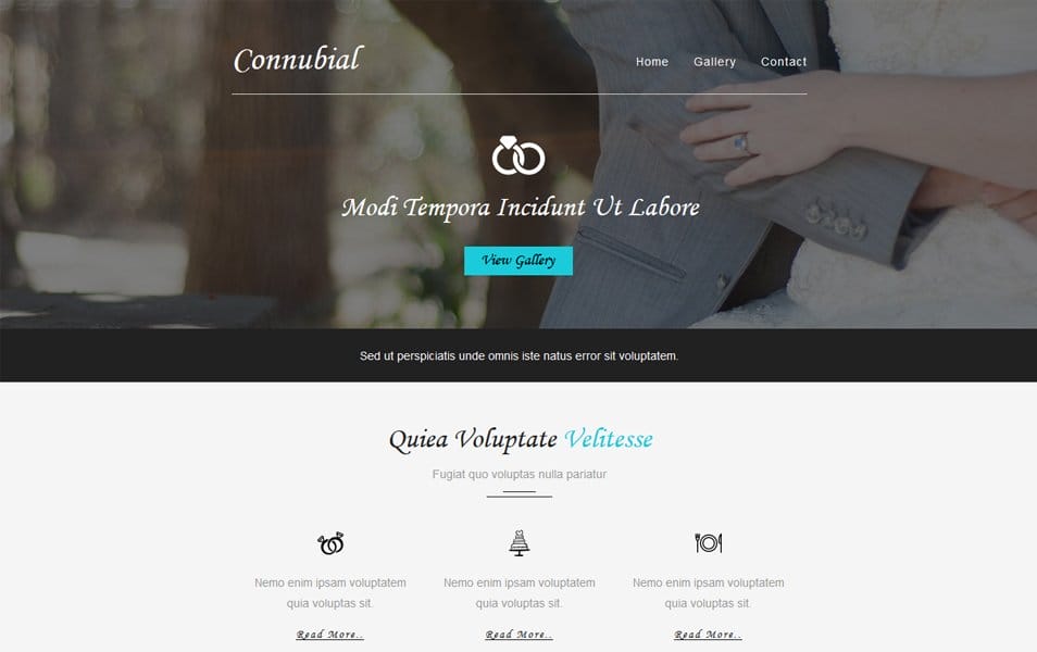 Connubial a Wedding Category Email Template