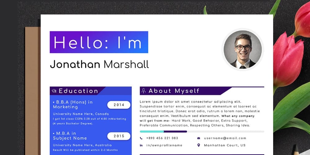Designer Developer Resume Cv Template