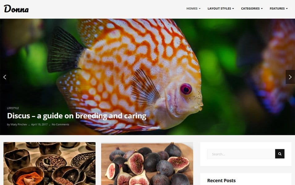 25+ Best Free Masonry Grid Style WordPress Themes 2022 13 Donna