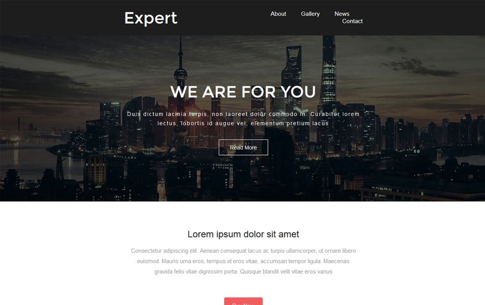 60+ Responsive HTML Email Newsletter Templates » CSS Author