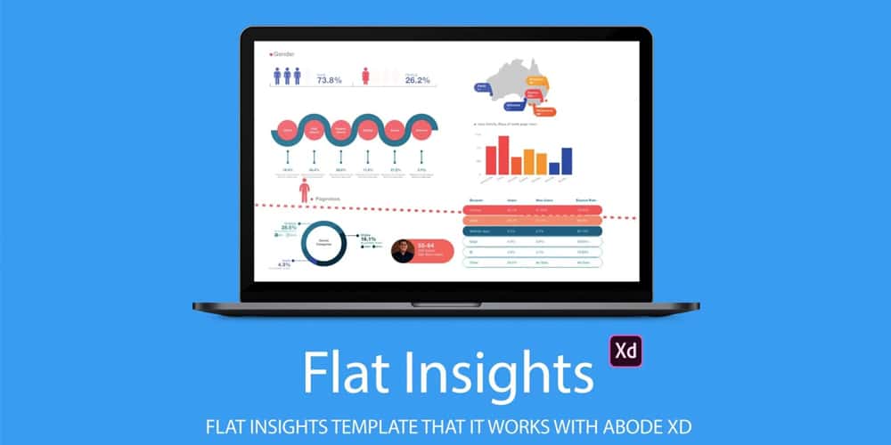 Flat Insights Infographics Template