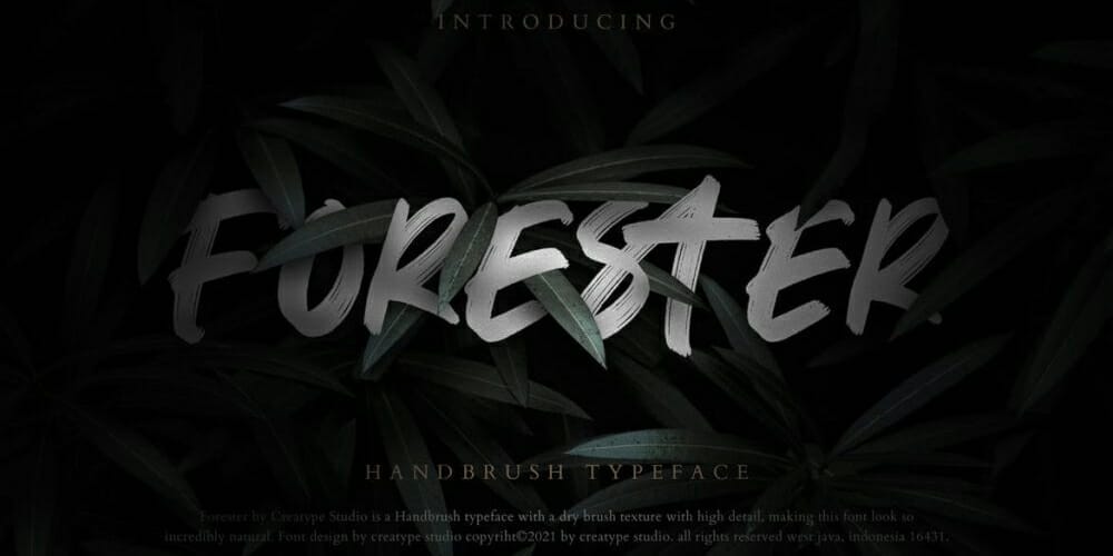 Forester Business Font