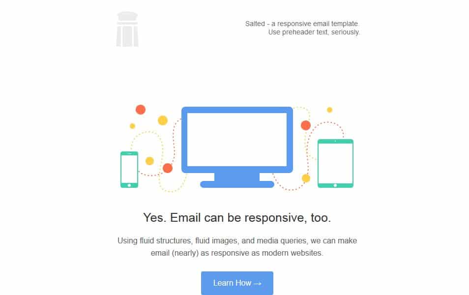 Salted Responsive Email Template