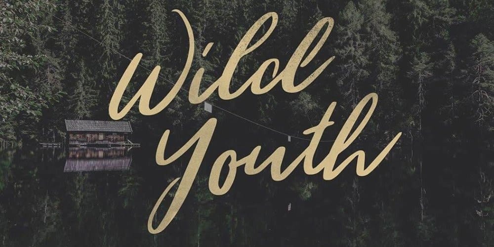 Wild-Youth-Brush-Script-Fonts
