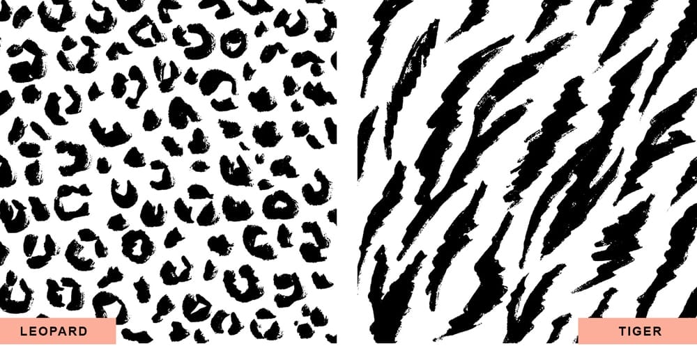 Animal Skin Patterns