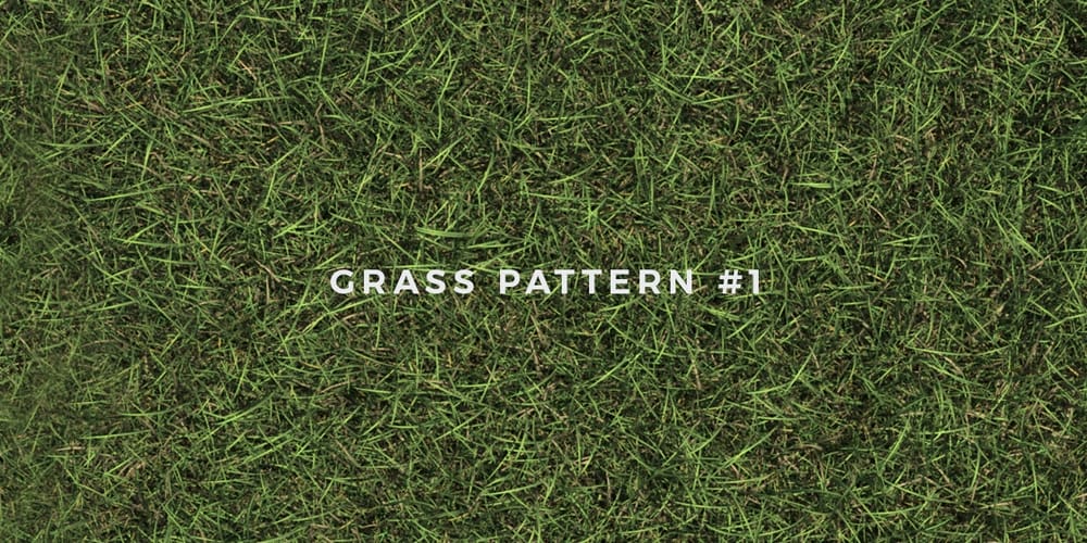 Seamless Grass Patterns