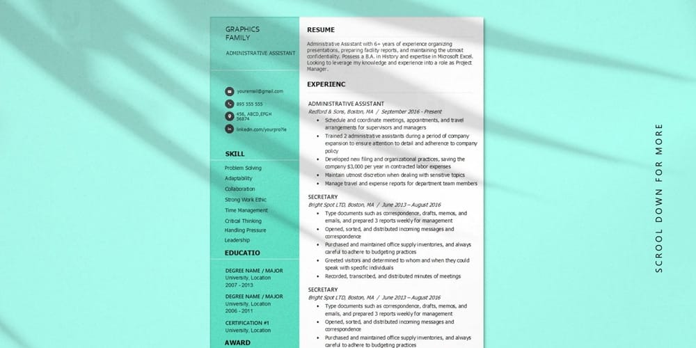 Abstract Resume Template