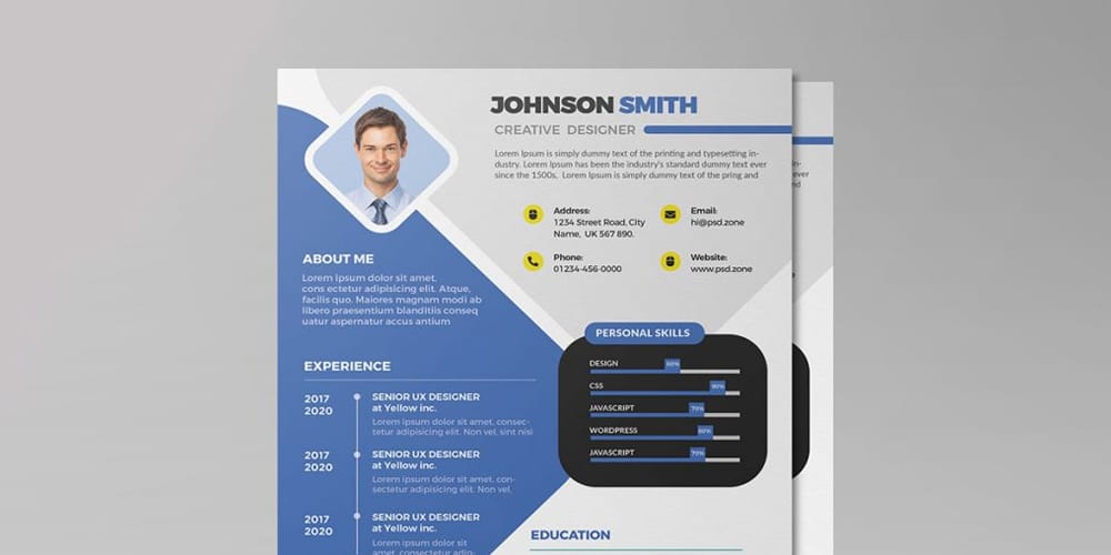 Clean Professional Job Resume CV