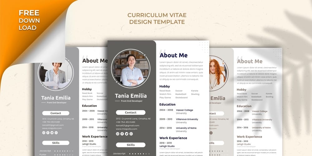 Curriculum Vitae Simple Design