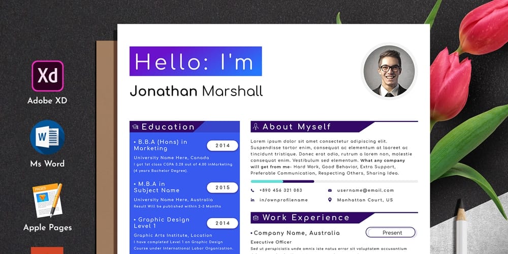 Designer Developer Resume Cv Template