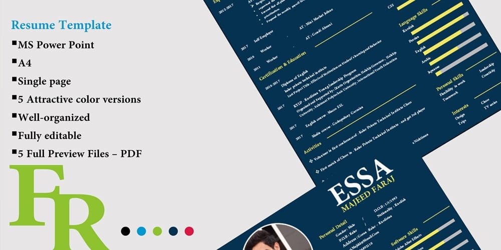 Ultimate Collection of Free Resume Templates » CSS Author