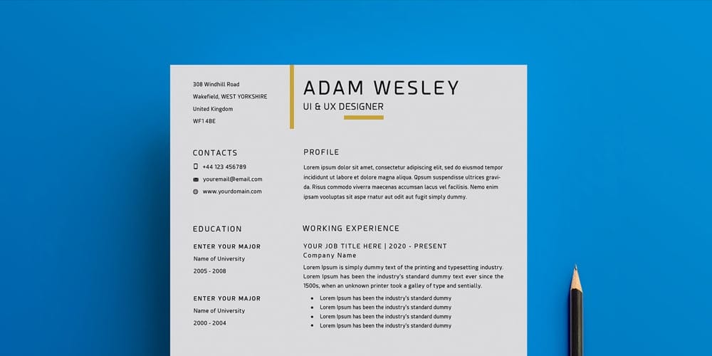 Free Simple Resume Template with Cover Letter + Business Card