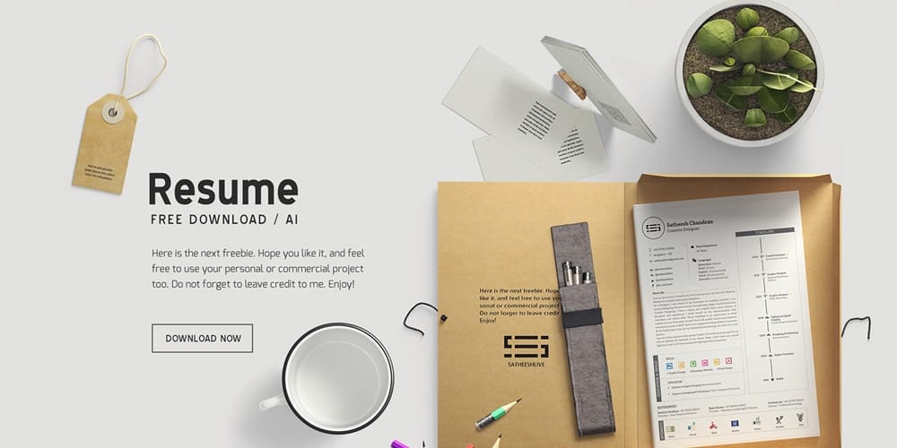 Handy Resume Template Vector