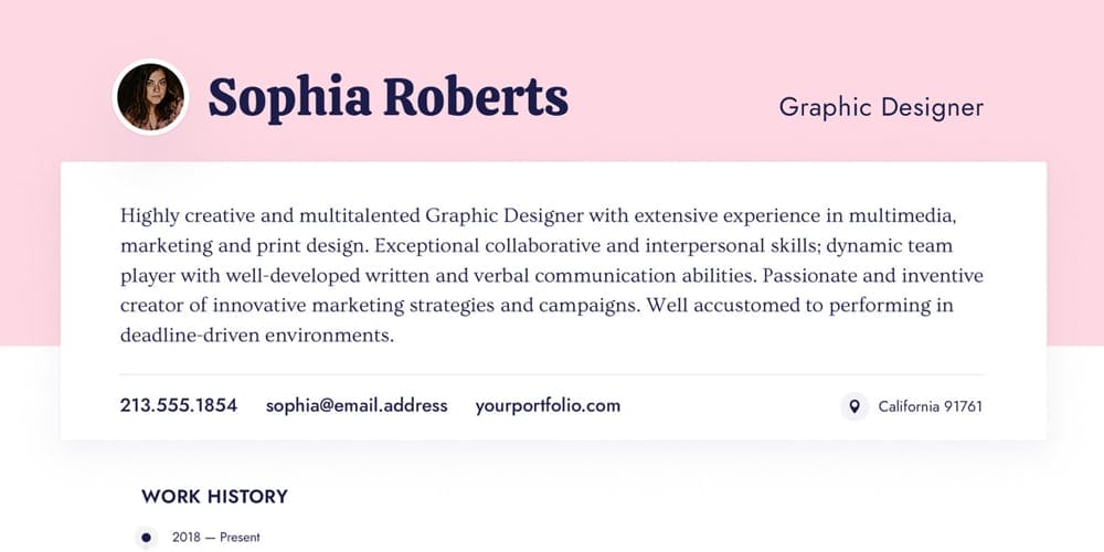 Professional Resume Templates