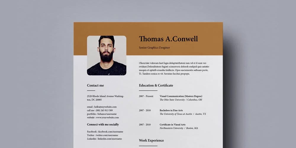 Professional and Modern Resume / CV Template 