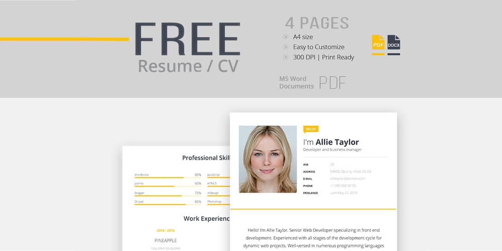 Resume CV Template for Modern Look