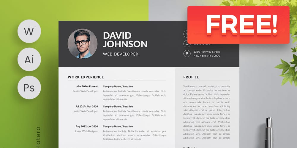 Ultimate Collection Of Free Resume Templates » CSS Author