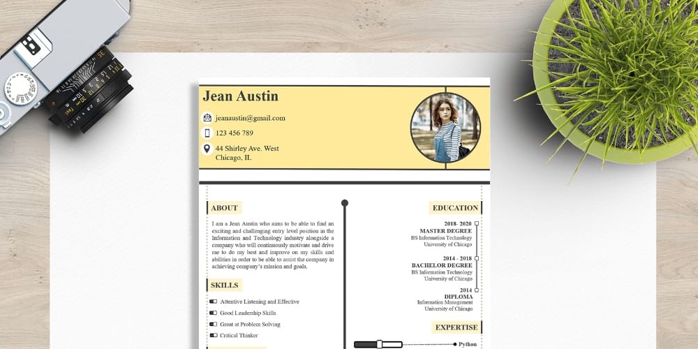  freshers resume CV design template