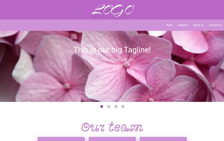 Material Slider Theme