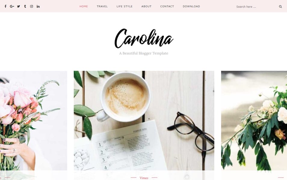 Carolina Personal Blogger Template