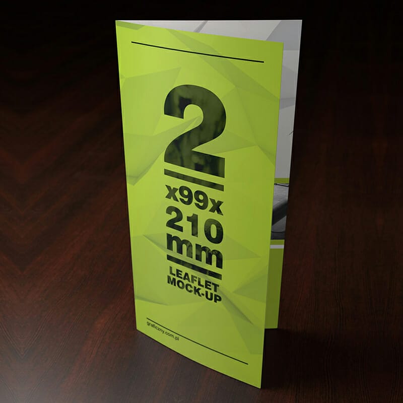 Free Double DL Leaflet Mockup