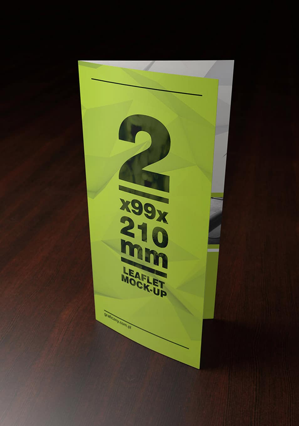 Free double DL Leaflet Mockup