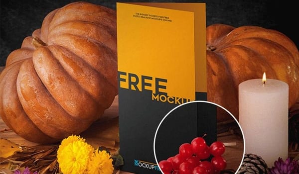 Postcard Mockup in Autumn Scenery