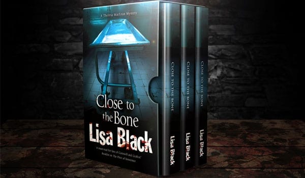 6 x 9 (3 book) Box Set Mockup Template