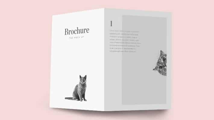 Bifold Brochure Mockup