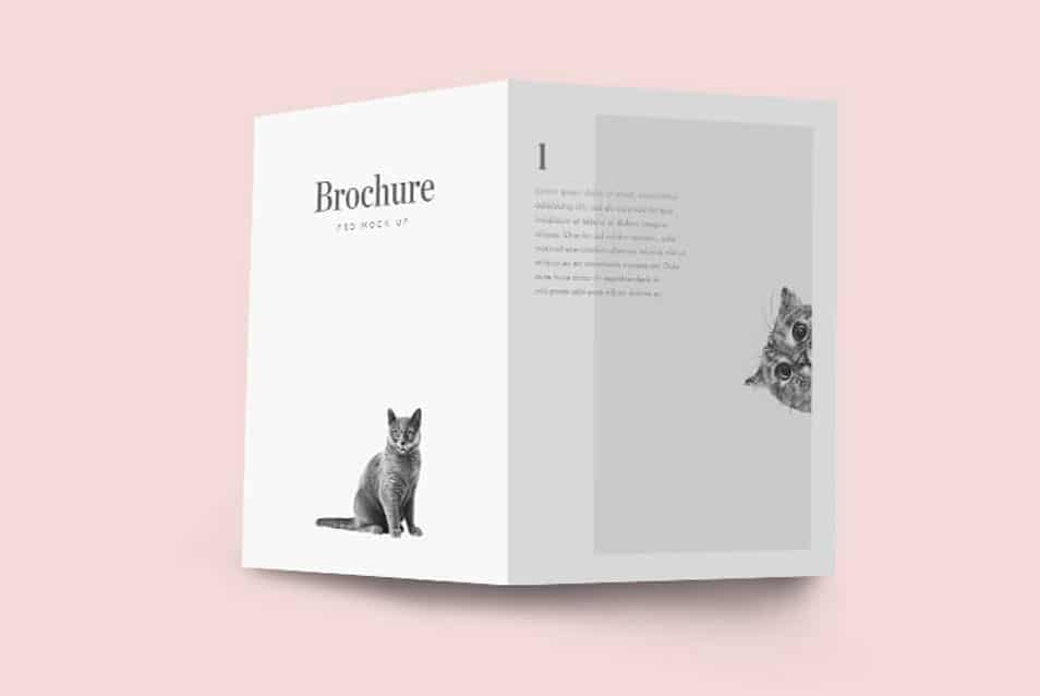 Bifold Brochure Mockup