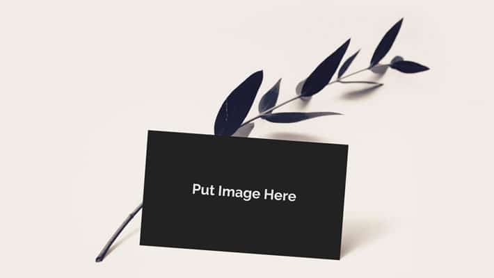 Free Fresh Business Card Mockup PSD