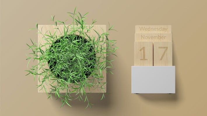 Plant and Calendar Free Mockup PSD