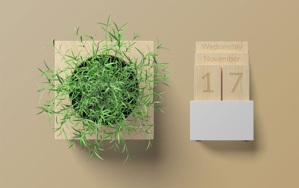 Plant and Calendar Free Mockup PSD