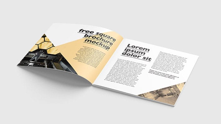 Square Brochure Mockup