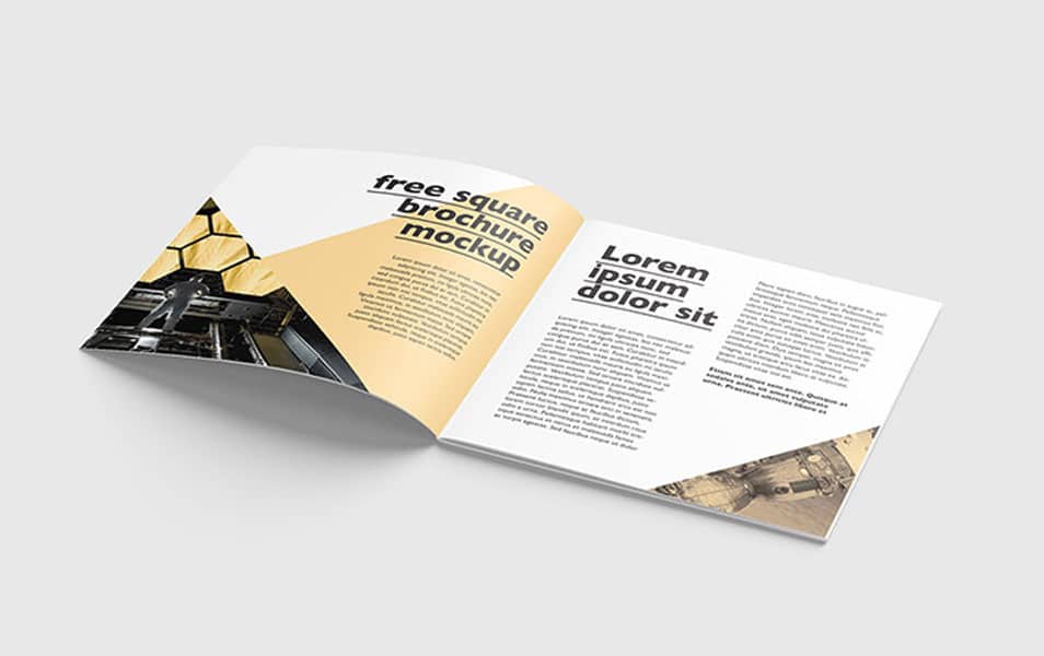 Square Brochure Mockup