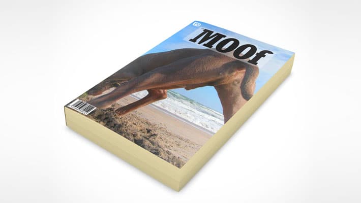 Paperback Book Mockup