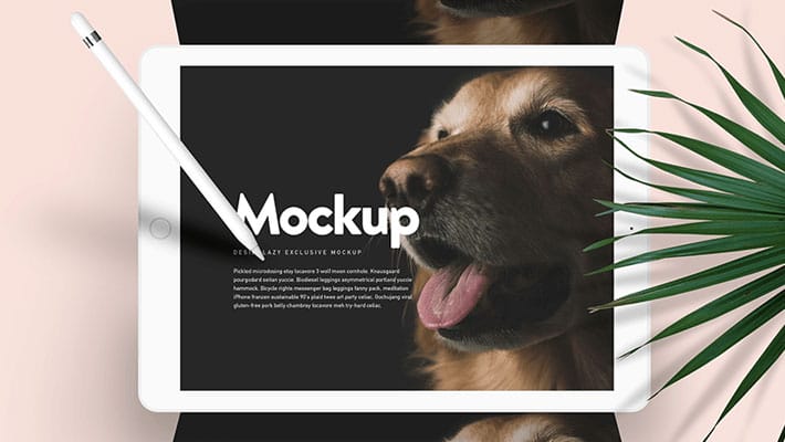 Doglr — iPad Mockup Scene PSD