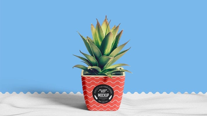 Free Flower Pot Mockup