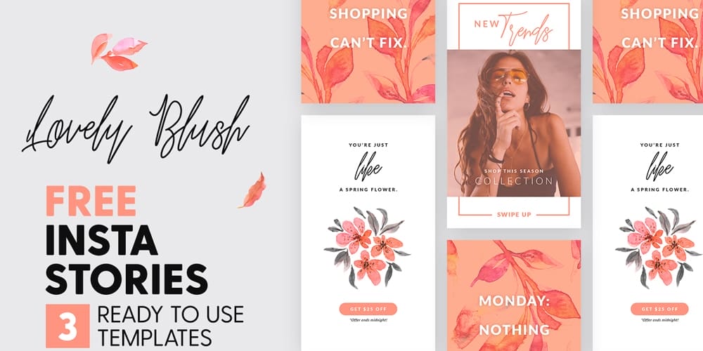 Free Lovely Blush Instagram Stories Templates PSD
