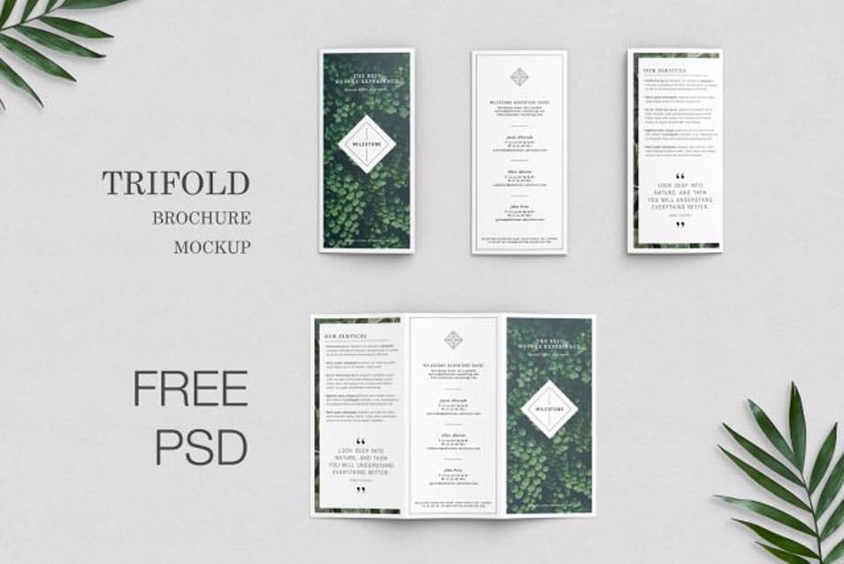 Free Trifold Brochure Mockup