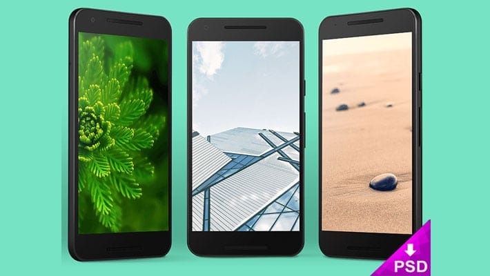 Nexus 5x Vector Mockup