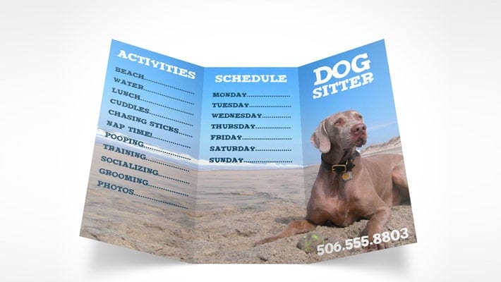 Tri-Fold 8.5in x 11in Brochure Mockup