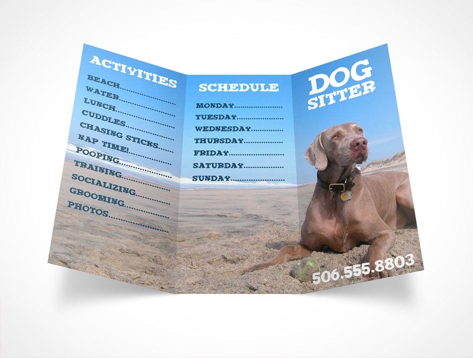 Tri-Fold 8.5in x 11in Brochure Mockup