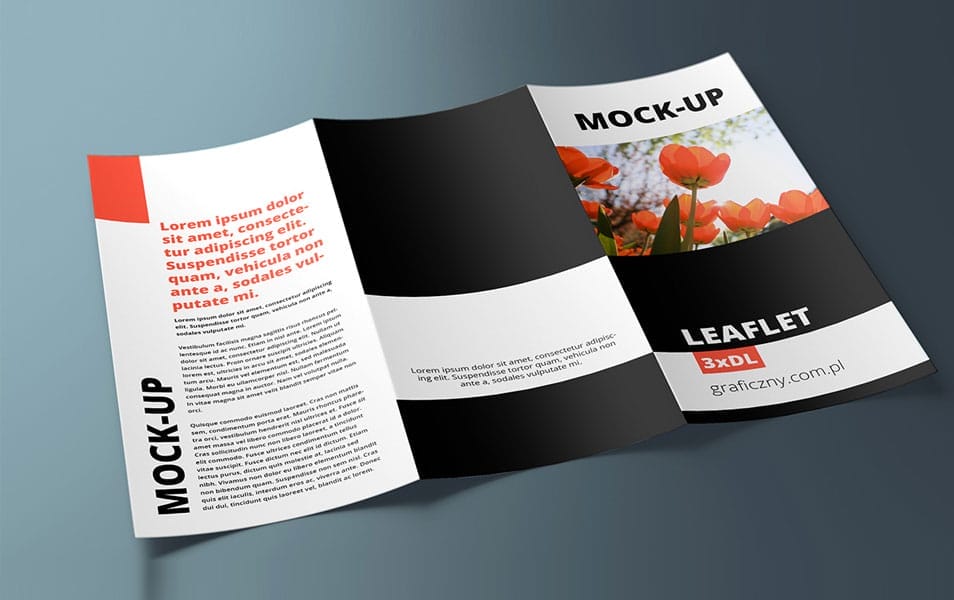 3 x DL Leaflet Mockup