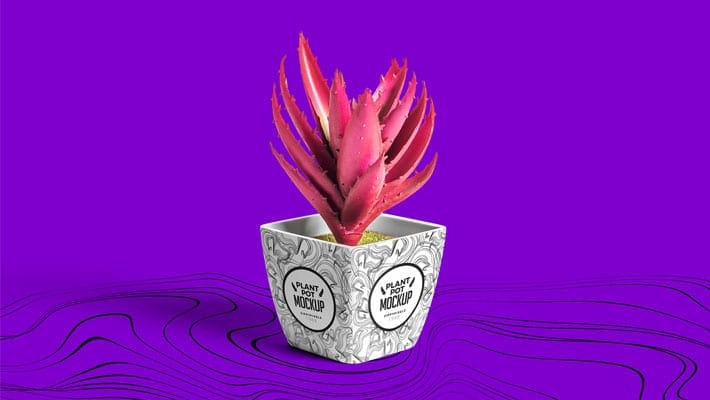 Free Plant Pot Mockup